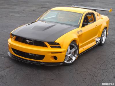 Mustang